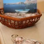 Paradiso San Vincenzo